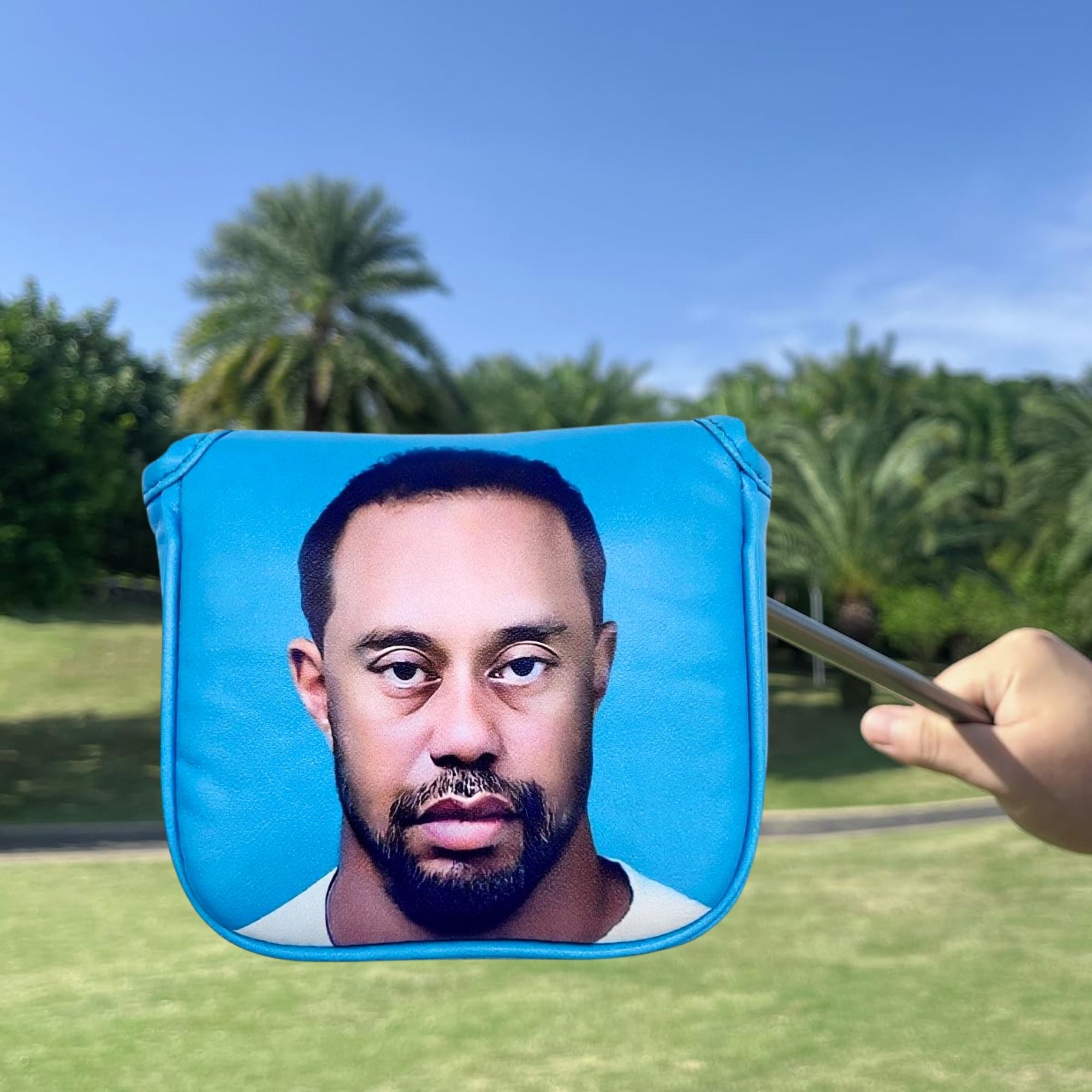Komik Golf Sopa Başlığı Kılıfı - Golf Putter incelemesi ve fiyatı